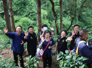 รมช.เกษตรฯ ลุยเชียงรายปราบ "ด้วงหนวดยาว" ถล่มสวนกาแฟ ดัน ... พารามิเตอร์รูปภาพ 12